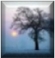 Mist, Overcast